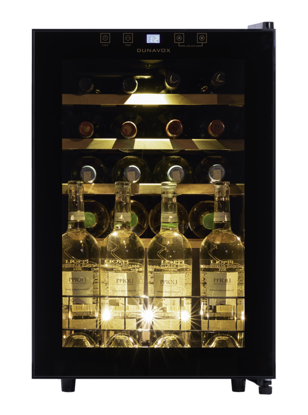DUNAVOX HOME 20 - Single Zone